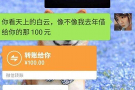 燕郊要账公司更多成功案例详情